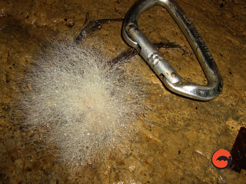Foto di F. Zaccaria